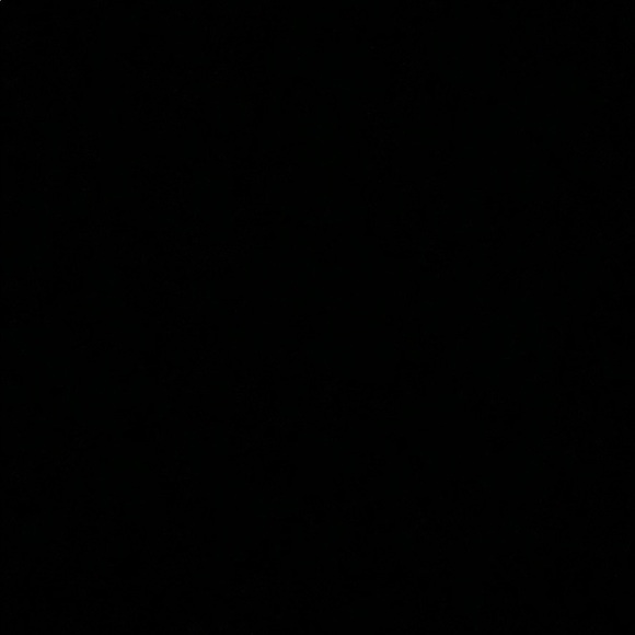 Meet your Posher, Reagan - Picture 1 of 1